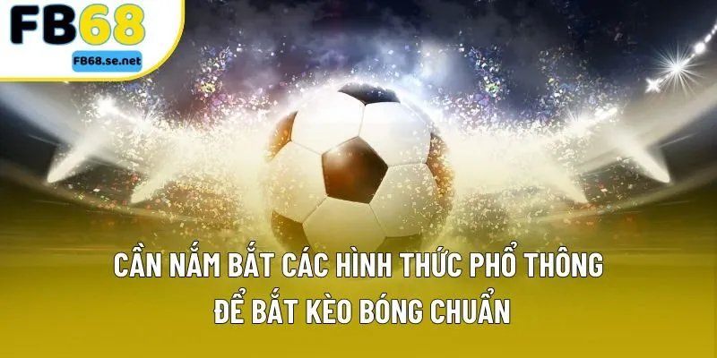 Cần nắm bắt các hình thức phổ thông để bắt kèo bóng chuẩn