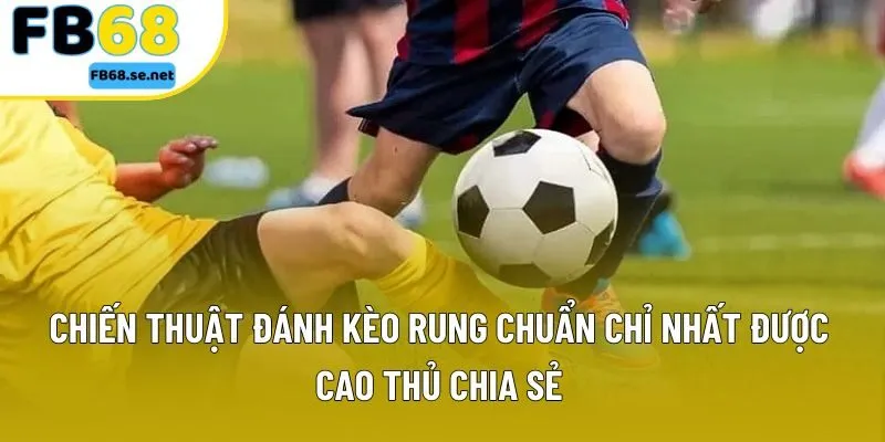 Chiến thuật đánh kèo rung chuẩn chỉ nhất được cao thủ chia sẻ