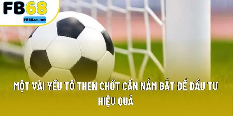 Một vài yếu tố then chốt cần nắm bắt để đầu tư hiệu quả