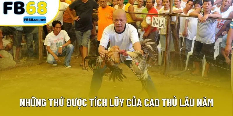 Những thứ được tích lũy của cao thủ lâu năm