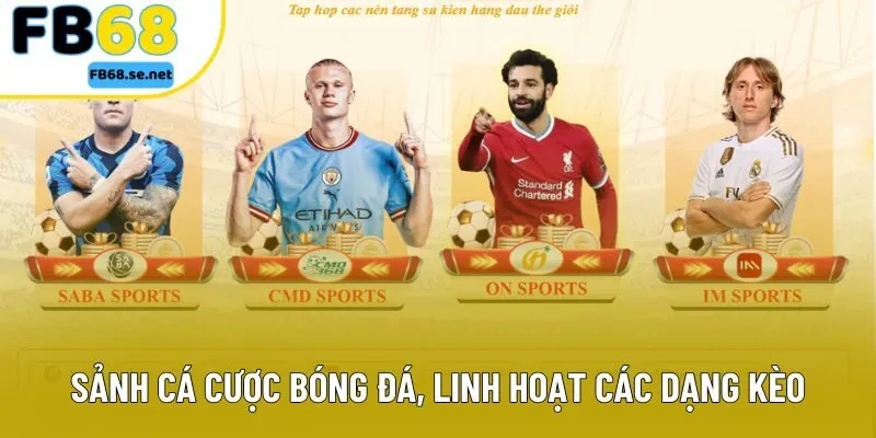 Sảnh cá cược bóng đá, linh hoạt các dạng kèo Á Âu Sảnh cá cược bóng đá, linh hoạt các dạng kèo Á Âu