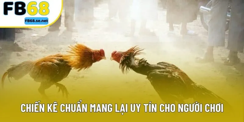Chiến kê chuẩn mang lại uy tín cho người chơi