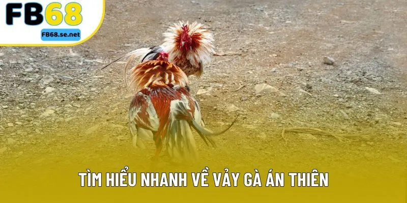 Tìm hiểu nhanh về vảy gà án thiên